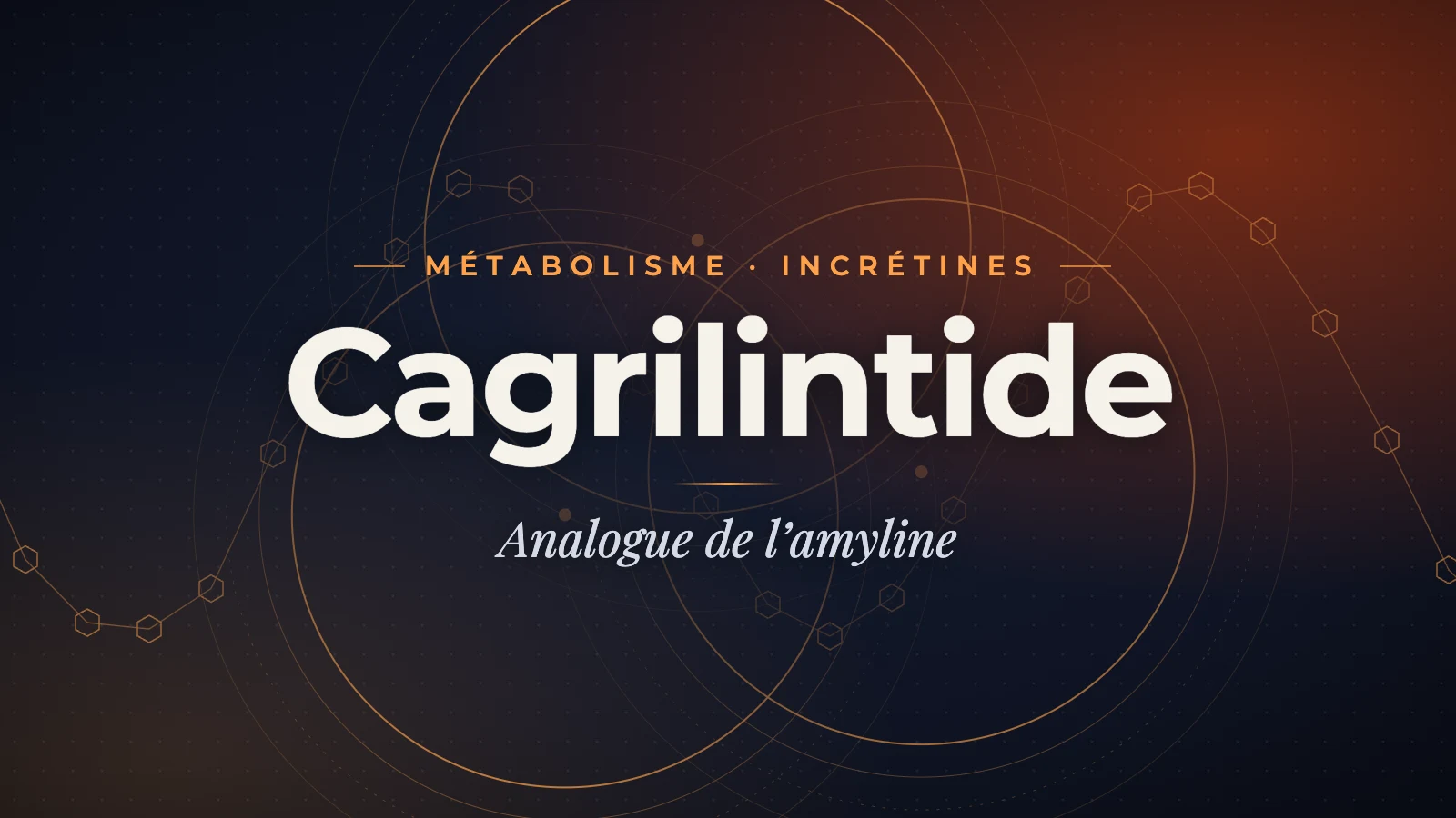 Cagrilintide (AM-833) : guide complet de l'analogue amyline longue durée en recherche métabolique