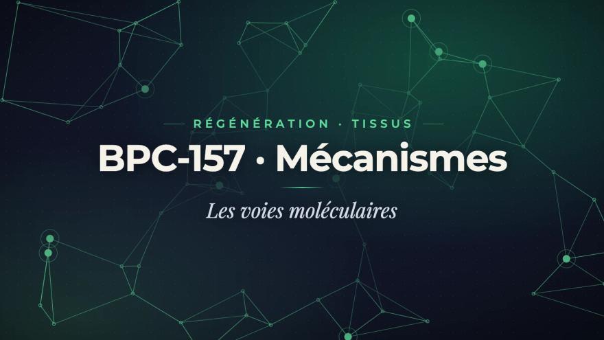 BPC-157 in research: molecular mechanisms, protocols and the 2026 state of science