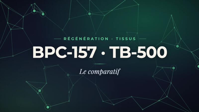 BPC-157 vs TB-500: the 2026 research peptide comparison for tissue regeneration and repair