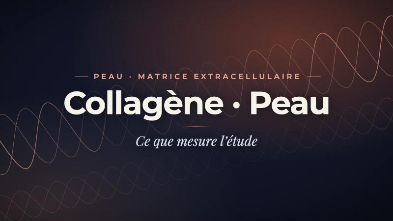 Collagène oral : efficacité prouvée sur les rides en 6 semaines