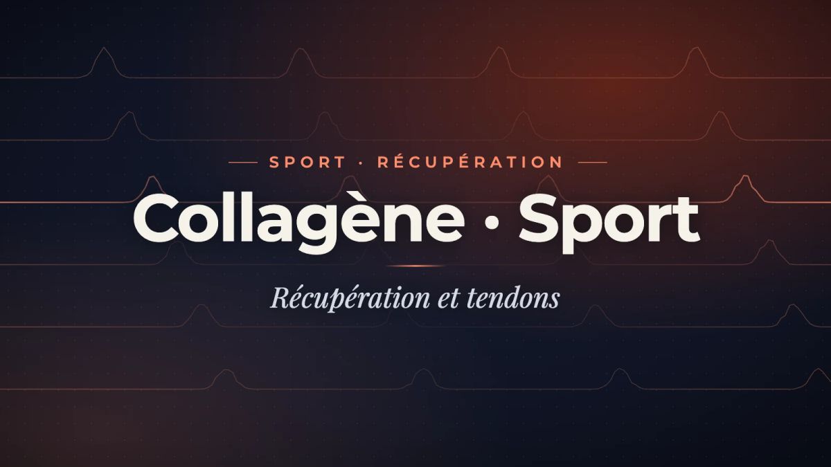 Image de couverture : Peptides de collagène : l'étude 2024 sur la récupération sportive