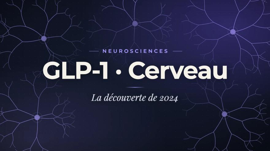 2024 Discovery: How GLP-1 Acts in the Brain