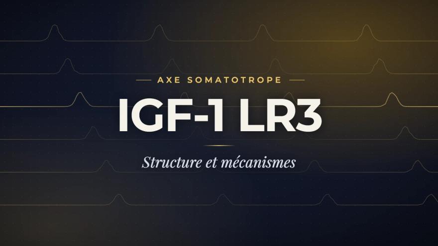 IGF-1 LR3: complete guide to structure, mechanisms and uses in peptide research