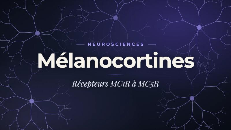 Mélanocortines en recherche : guide complet Melanotan II, PT-141 bremelanotide, afamelanotide et récepteurs MC1R-MC5R