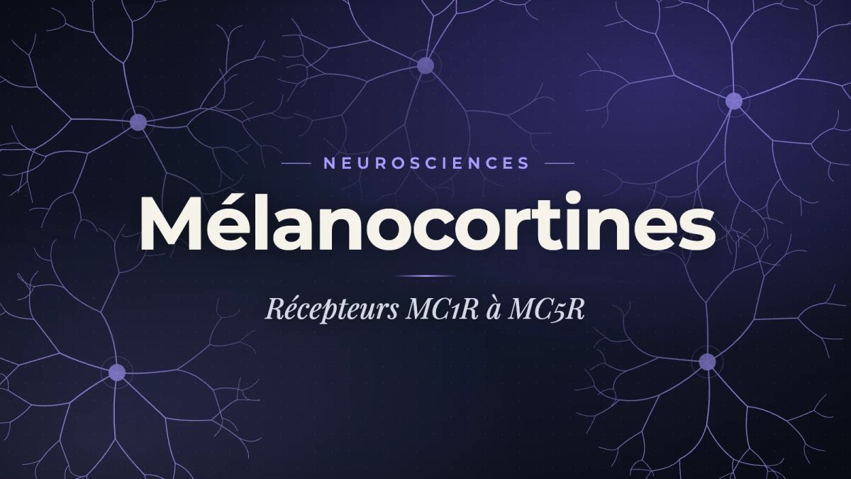 Titelbild: Melanocortine in der Forschung: der vollständige Leitfaden zu Melanotan II, PT-141 Bremelanotid, Afamelanotid und den MC1R-MC5R-Rezeptoren