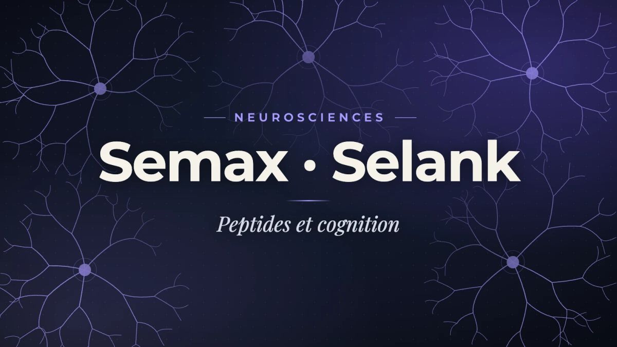 Image de couverture : Peptides cognitifs en recherche : Semax, Selank, Dihexa et la nouvelle génération de nootropiques peptidiques