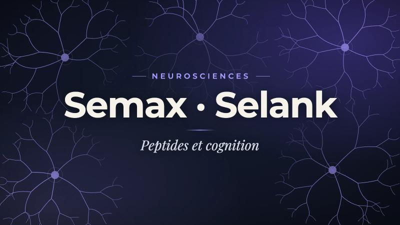 Peptides cognitifs en recherche : Semax, Selank, Dihexa et la nouvelle génération de nootropiques peptidiques