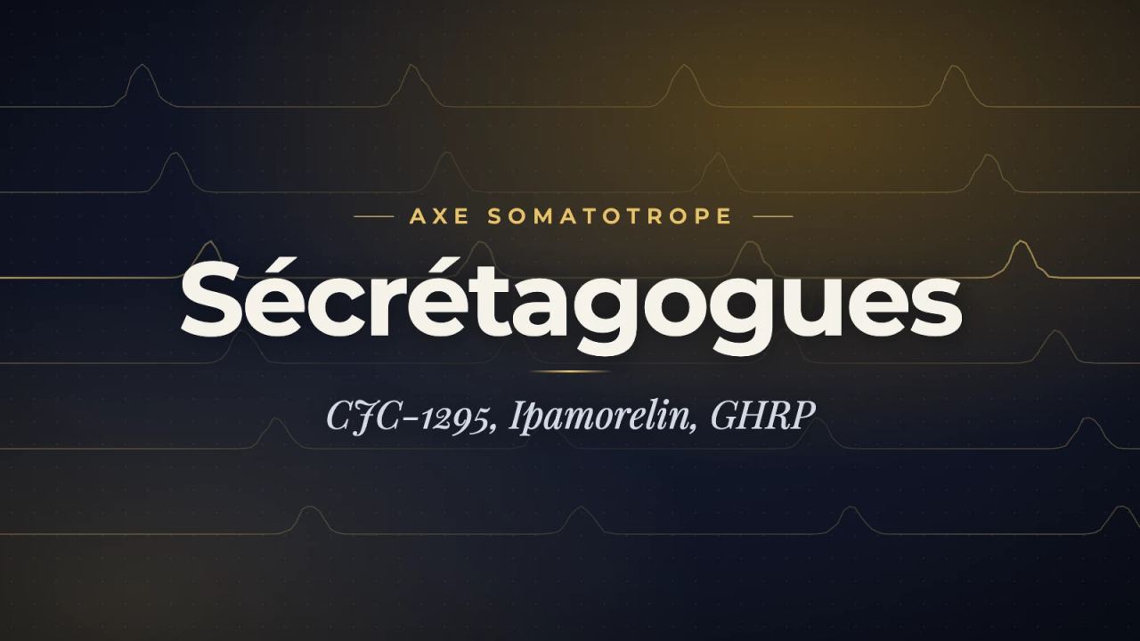 GH-Sekretagoga in der Forschung: CJC-1295, Ipamorelin, GHRP-2/6, Hexarelin, MK-677 — Mechanismen, Synergien und präklinische Protokolle
