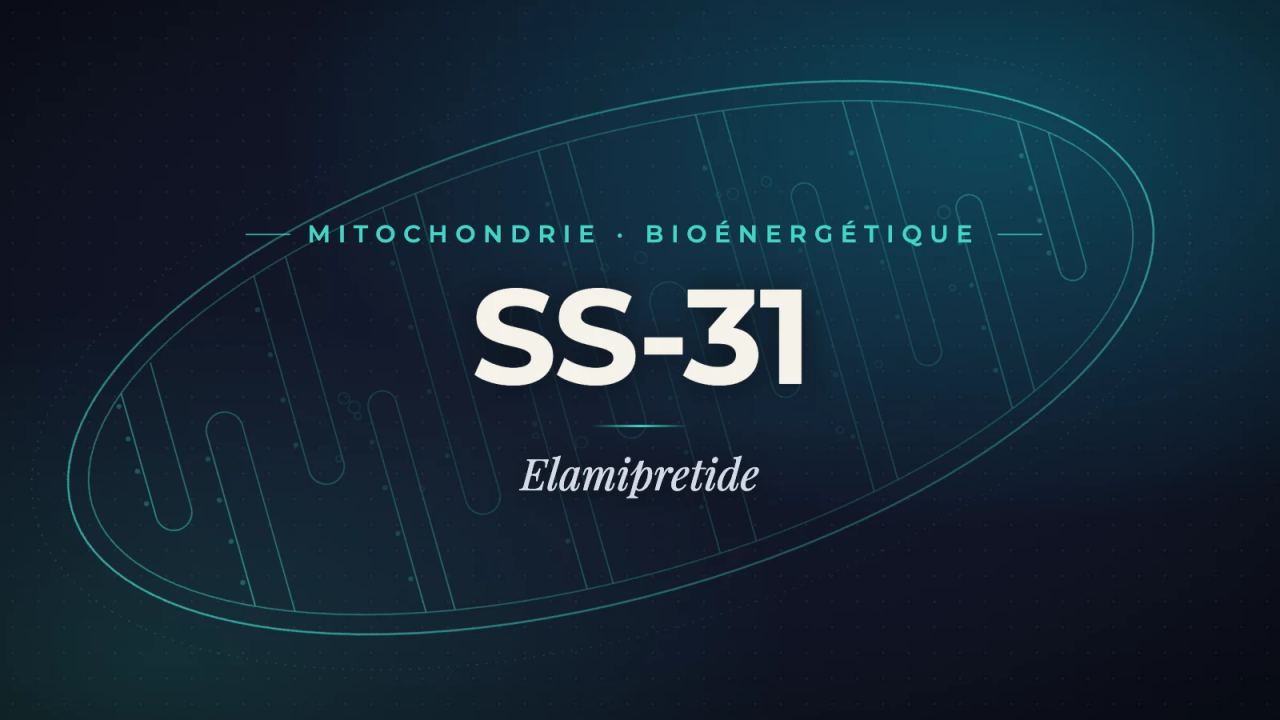 SS-31 (elamipretide): the peptide that targets the mitochondrion directly