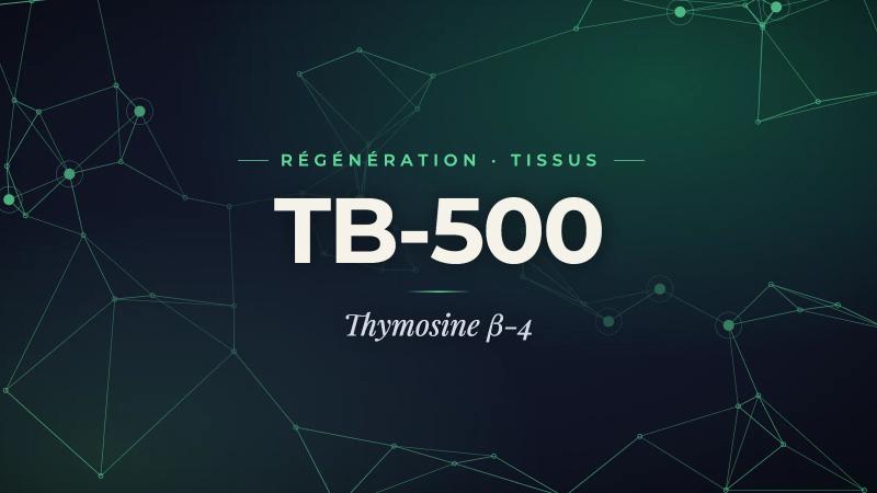 TB-500 et Thymosine β-4 : guide complet de la recherche sur la régénération tissulaire